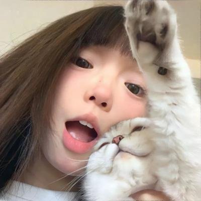 美国派：高潮再起